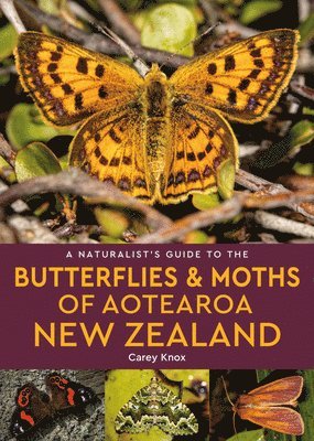 bokomslag Naturalist's Guide to the Butterflies & Moths of Aotearoa New Zealand