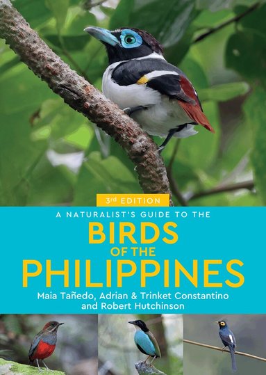 Adrian Constantino, Trinket Constantino, Robert Hutchinson, Maia Tanedo - Naturalist's Guide to the Birds of the Philippines, Häftad