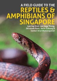 bokomslag Field Guide to the Reptiles and Amphibians of Singapore