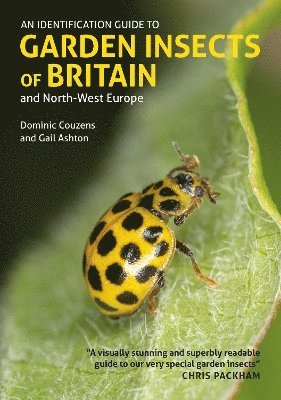 Gail Ashton, Dominic Couzens - Identification Guide to Garden Insects of Britain and North-West Europe, Häftad