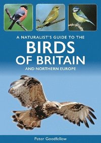 bokomslag A Naturalist's Guide to the Birds of Britain and Northern Europe