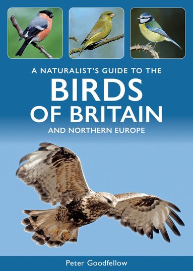 Peter Goodfellow - Naturalist's Guide to the Birds of Britain and Northern Europe, Häftad