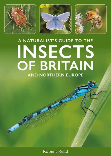 Robert Read - Naturalist's Guide to the Insects of Britain and Northern Europe, Häftad