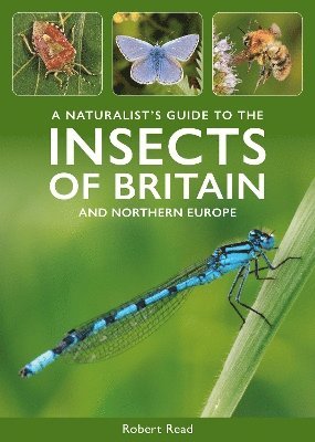 bokomslag Naturalist's Guide to the Insects of Britain and Northern Europe