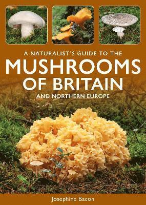 bokomslag A Naturalist's Guide to the Mushrooms of Britain and Northern Europe