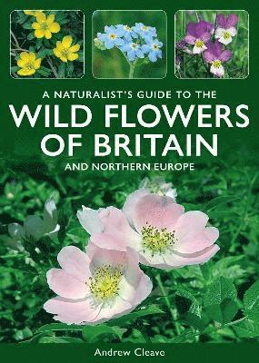 bokomslag A Naturalist's Guide to the Wild Flowers of Britain and Northern Europe