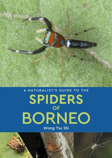Wong Tsu Shi - Naturalist's Guide to the Spiders of Borneo, Häftad