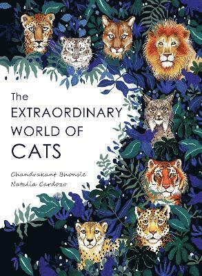 Chandrakant Bhonsle - Extraordinary World of Cats, Häftad
