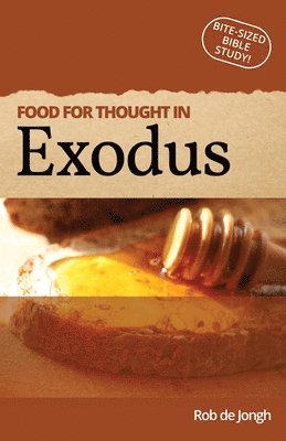 bokomslag Food for thought in Exodus