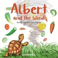 bokomslag Albert and the Wind