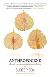 bokomslag Anthropocene