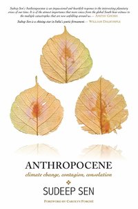 bokomslag Anthropocene