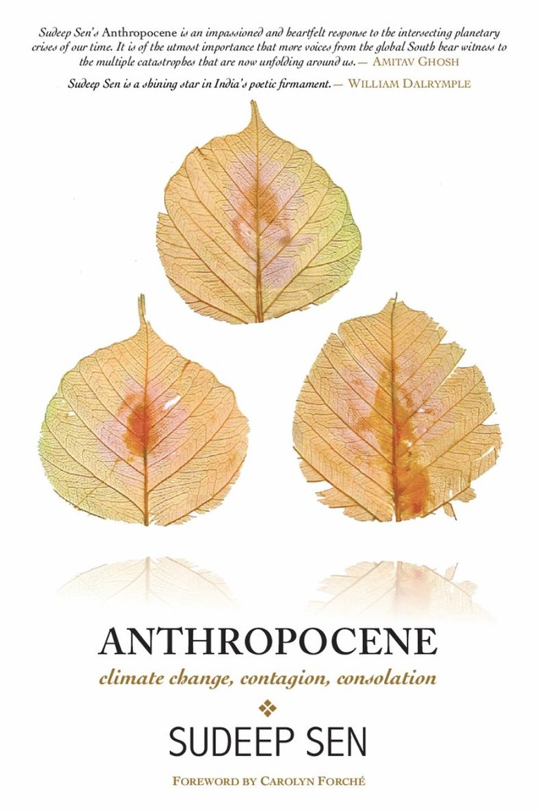 Anthropocene 1