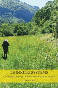 bokomslag Thinking Systems