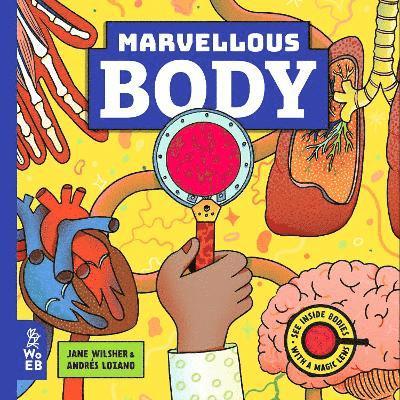 Marvellous Body 1