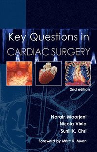bokomslag Key Questions in Cardiac Surgery
