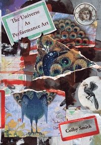 bokomslag Universe as Performance Art