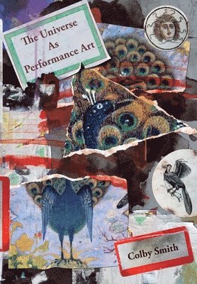 Universe as Performance Art 1
