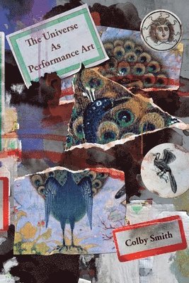 bokomslag Universe as Performance Art