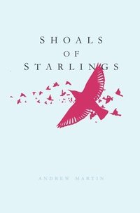 bokomslag Shoals of Starlings