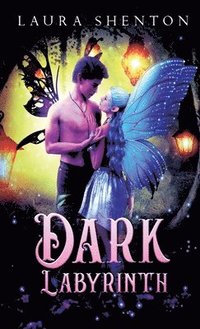 bokomslag Dark Labyrinth