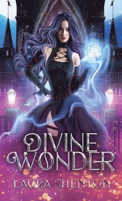 bokomslag Divine Wonder