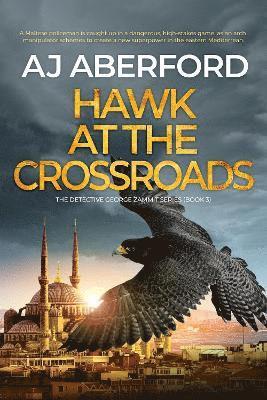 Hawk at the Crossroads 1