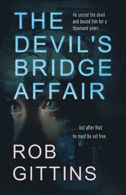 Rob Gittins - Devil's Bridge Affair, Häftad