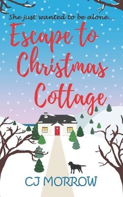 Escape to Christmas Cottage: A cosy Christmas romantic comedy about letting go of the past 1