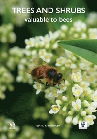 bokomslag Trees and Shrubs Valuable to Bees
