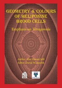 bokomslag Geometry & Colours of Meliponine Brood Cells