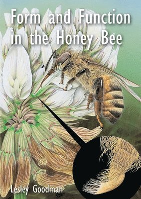 Form and Function in the Honey Bee 1