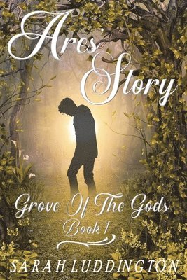 Sarah Luddington - Ares' Story: Contemporary Gay Romance, Häftad