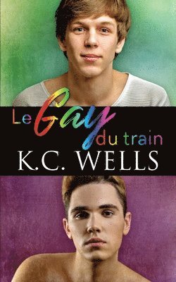 bokomslag Le gay du train