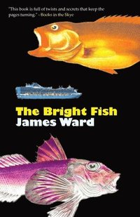 bokomslag Bright Fish