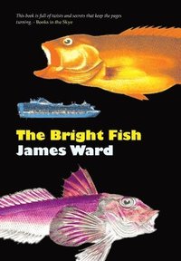 bokomslag Bright Fish