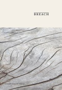 bokomslag Breach