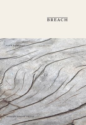 bokomslag Breach
