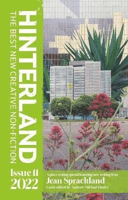 Jean Sprackland, Adam Farrer, Hannah Storm, Julie Zuckerman, Andrew Kenrick, Yin F. Lim, Andrew Michael Hurley - Hinterland, Häftad