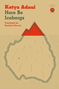 bokomslag Here Be Icebergs