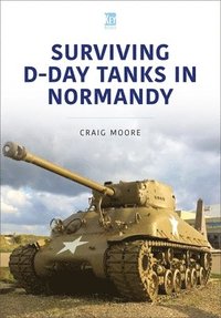 bokomslag Surviving D-Day Tanks in Normandy