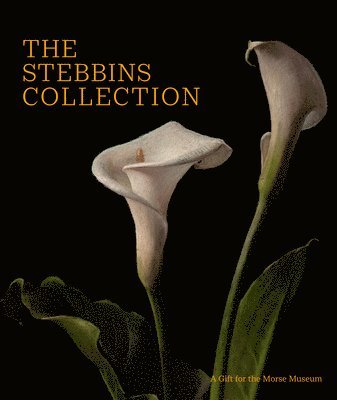 The Stebbins Collection 1