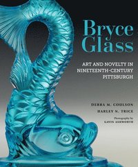 bokomslag Bryce Glass