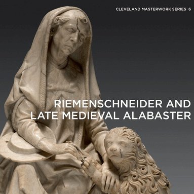 Gerhard Lutz - Riemenschneider and Late Medieval Alabaster, Häftad