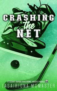 bokomslag Crashing the Net