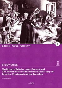 bokomslag Medicine in Britain, c1250-present and the British sector of the Western Front, 1914-18