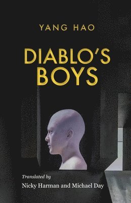 bokomslag Diablo's Boys