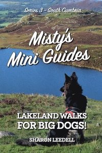 bokomslag Misty's Mini Guides