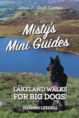 bokomslag Misty's Mini Guides