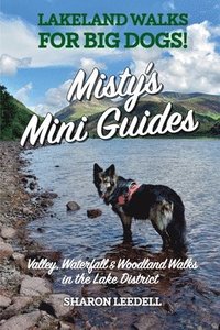 bokomslag Misty's Mini Guides